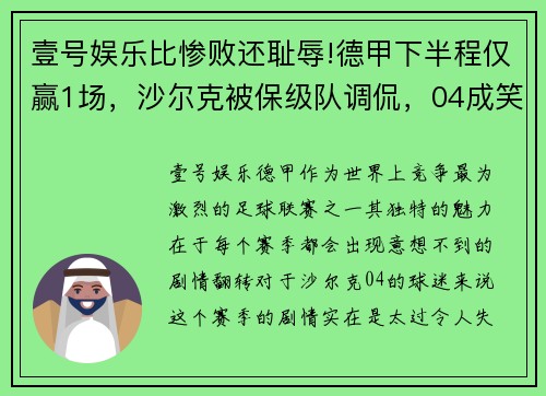 壹号娱乐比惨败还耻辱!德甲下半程仅赢1场，沙尔克被保级队调侃，04成笑柄？ - 副本