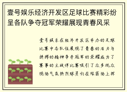 壹号娱乐经济开发区足球比赛精彩纷呈各队争夺冠军荣耀展现青春风采